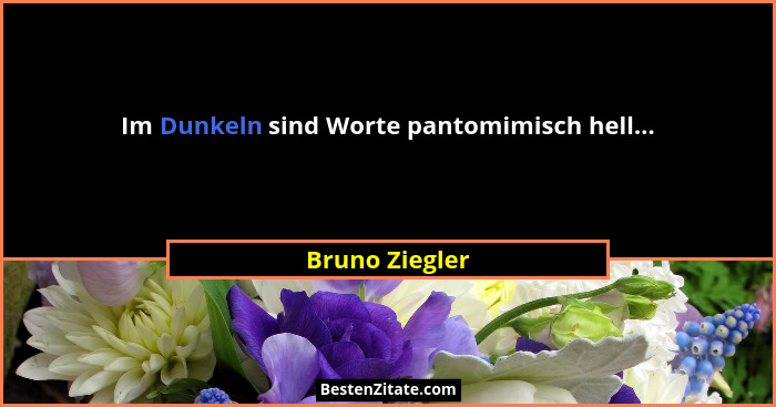 Im Dunkeln sind Worte pantomimisch hell...... - Bruno Ziegler