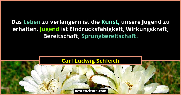 Das Leben zu verlängern ist die Kunst, unsere Jugend zu erhalten. Jugend ist Eindrucksfähigkeit, Wirkungskraft, Bereitschaft, S... - Carl Ludwig Schleich
