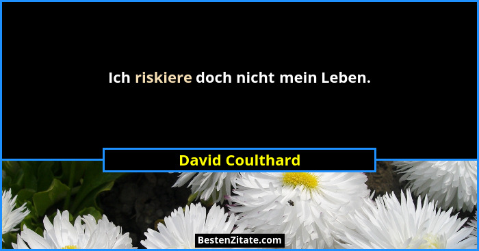 Ich riskiere doch nicht mein Leben.... - David Coulthard
