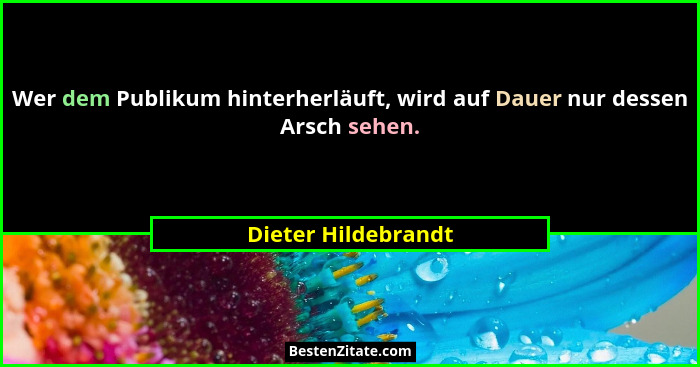 Wer dem Publikum hinterherläuft, wird auf Dauer nur dessen Arsch sehen.... - Dieter Hildebrandt