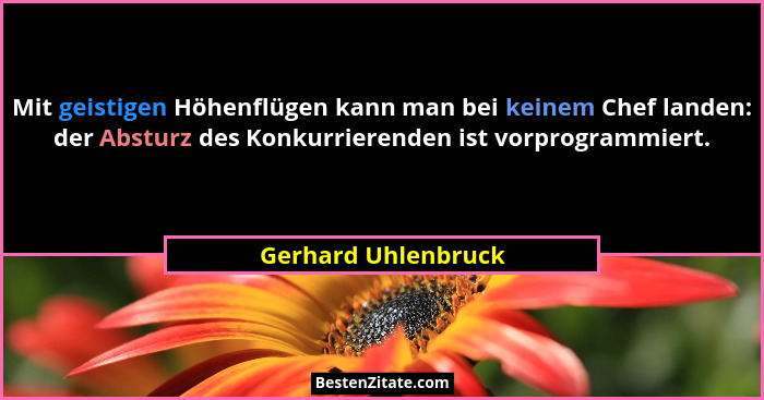 Mit geistigen Höhenflügen kann man bei keinem Chef landen: der Absturz des Konkurrierenden ist vorprogrammiert.... - Gerhard Uhlenbruck
