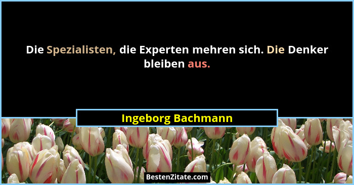Die Spezialisten, die Experten mehren sich. Die Denker bleiben aus.... - Ingeborg Bachmann
