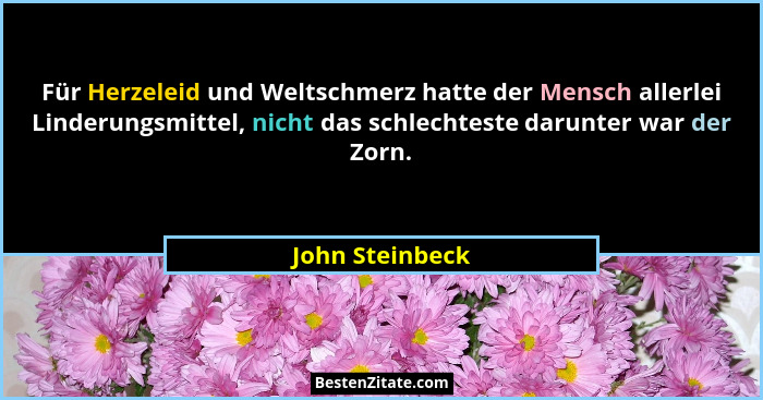 Für Herzeleid und Weltschmerz hatte der Mensch allerlei Linderungsmittel, nicht das schlechteste darunter war der Zorn.... - John Steinbeck