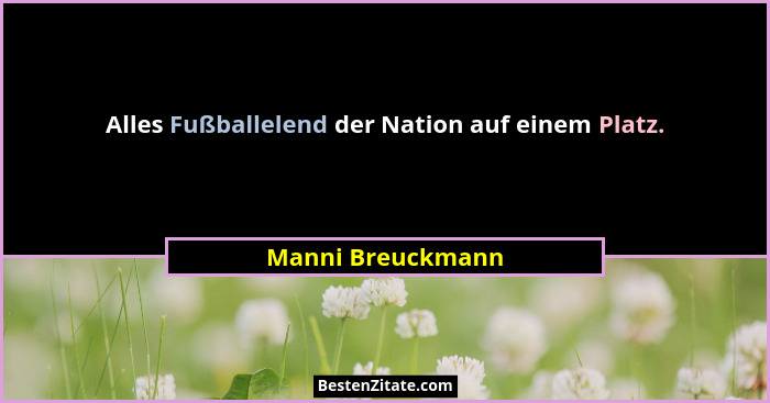 Alles Fußballelend der Nation auf einem Platz.... - Manni Breuckmann