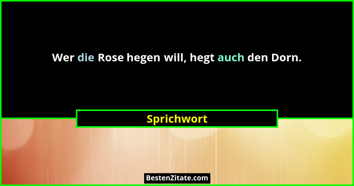 Wer die Rose hegen will, hegt auch den Dorn.... - Sprichwort