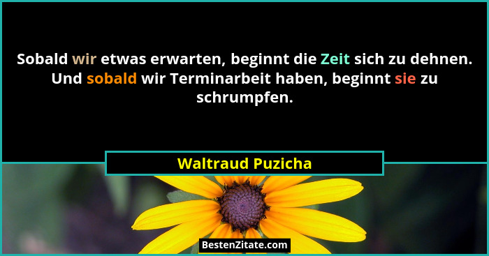 Sobald wir etwas erwarten, beginnt die Zeit sich zu dehnen. Und sobald wir Terminarbeit haben, beginnt sie zu schrumpfen.... - Waltraud Puzicha
