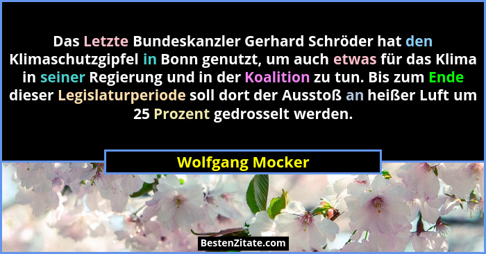Das Letzte Bundeskanzler Gerhard Schröder hat den Klimaschutzgipfel in Bonn genutzt, um auch etwas für das Klima in seiner Regierung... - Wolfgang Mocker