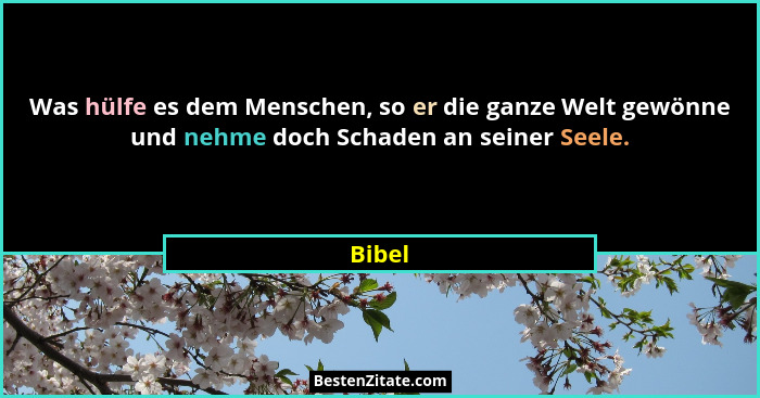 Was hülfe es dem Menschen, so er die ganze Welt gewönne und nehme doch Schaden an seiner Seele.... - Bibel