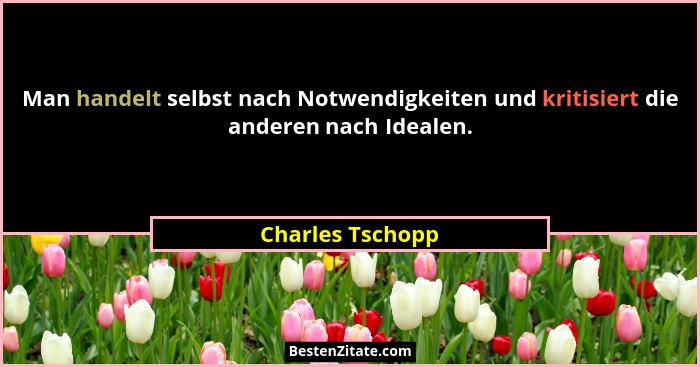 Man handelt selbst nach Notwendigkeiten und kritisiert die anderen nach Idealen.... - Charles Tschopp