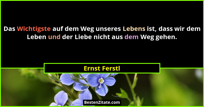 Das Wichtigste auf dem Weg unseres Lebens ist, dass wir dem Leben und der Liebe nicht aus dem Weg gehen.... - Ernst Ferstl