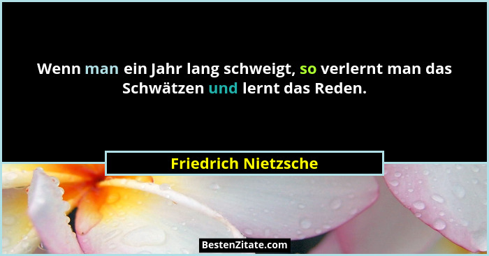 Wenn man ein Jahr lang schweigt, so verlernt man das Schwätzen und lernt das Reden.... - Friedrich Nietzsche