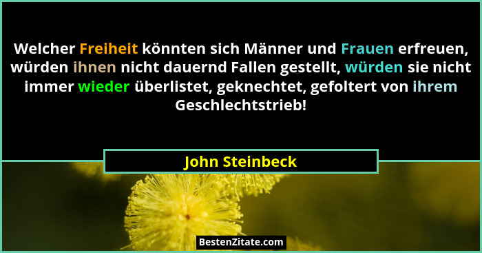 Welcher Freiheit könnten sich Männer und Frauen erfreuen, würden ihnen nicht dauernd Fallen gestellt, würden sie nicht immer wieder ü... - John Steinbeck
