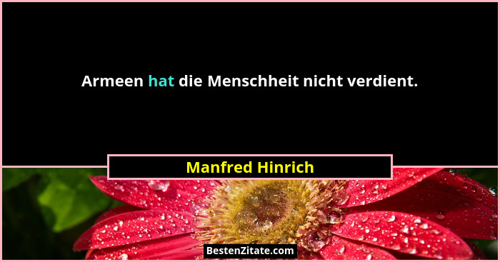 Armeen hat die Menschheit nicht verdient.... - Manfred Hinrich