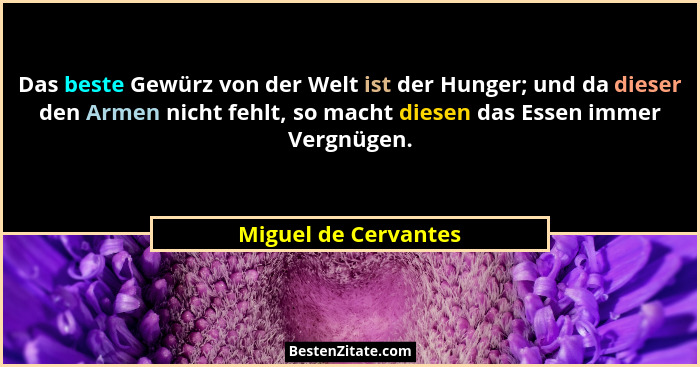 Das beste Gewürz von der Welt ist der Hunger; und da dieser den Armen nicht fehlt, so macht diesen das Essen immer Vergnügen.... - Miguel de Cervantes
