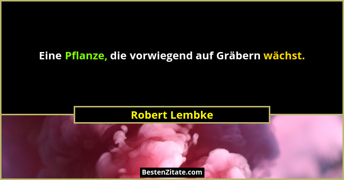 Eine Pflanze, die vorwiegend auf Gräbern wächst.... - Robert Lembke