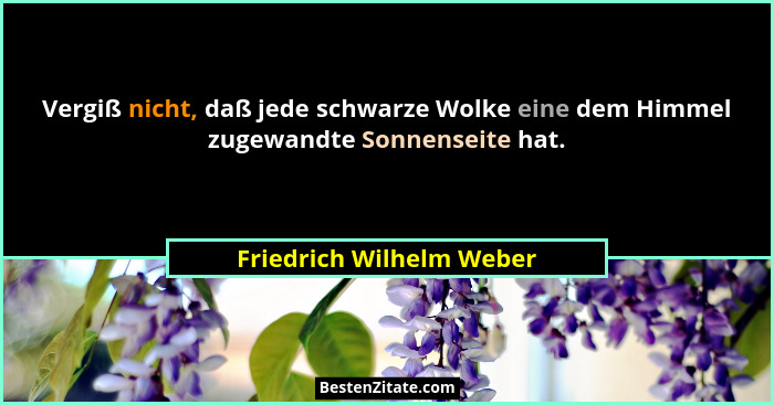 Vergiß nicht, daß jede schwarze Wolke eine dem Himmel zugewandte Sonnenseite hat.... - Friedrich Wilhelm Weber