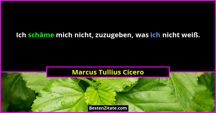 Ich schäme mich nicht, zuzugeben, was ich nicht weiß.... - Marcus Tullius Cicero
