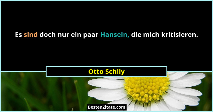 Es sind doch nur ein paar Hanseln, die mich kritisieren.... - Otto Schily