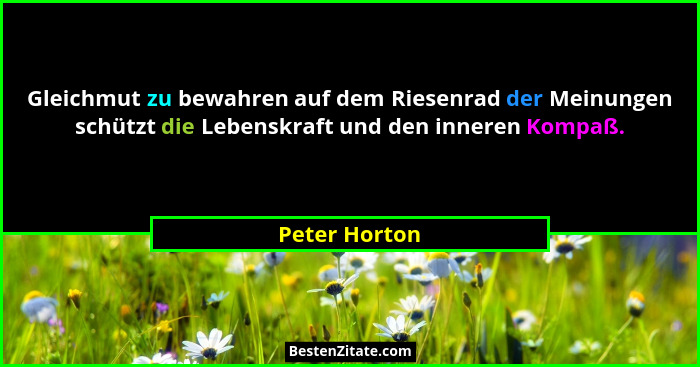 Gleichmut zu bewahren auf dem Riesenrad der Meinungen schützt die Lebenskraft und den inneren Kompaß.... - Peter Horton