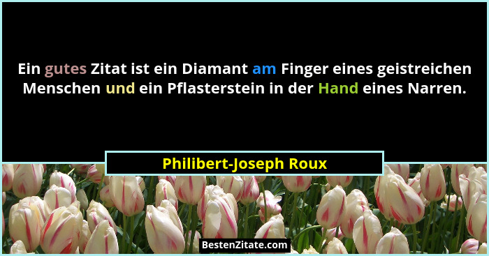 Ein gutes Zitat ist ein Diamant am Finger eines geistreichen Menschen und ein Pflasterstein in der Hand eines Narren.... - Philibert-Joseph Roux