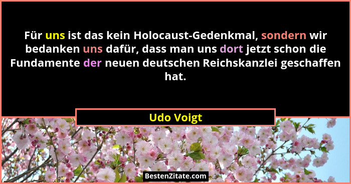 Für uns ist das kein Holocaust-Gedenkmal, sondern wir bedanken uns dafür, dass man uns dort jetzt schon die Fundamente der neuen deutschen... - Udo Voigt