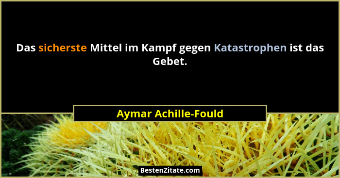 Das sicherste Mittel im Kampf gegen Katastrophen ist das Gebet.... - Aymar Achille-Fould