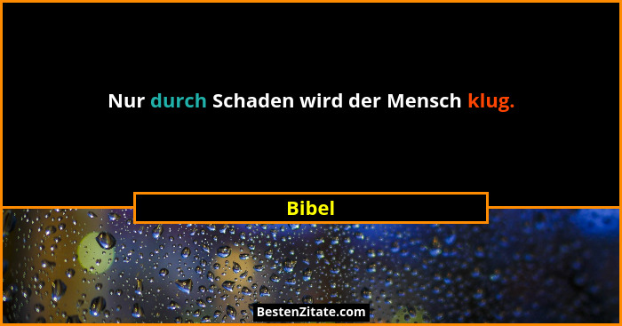 Nur durch Schaden wird der Mensch klug.... - Bibel