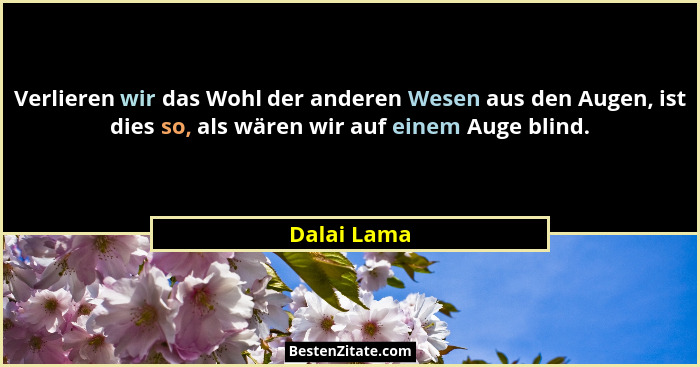 Verlieren wir das Wohl der anderen Wesen aus den Augen, ist dies so, als wären wir auf einem Auge blind.... - Dalai Lama