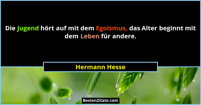 Die Jugend hört auf mit dem Egoismus, das Alter beginnt mit dem Leben für andere.... - Hermann Hesse