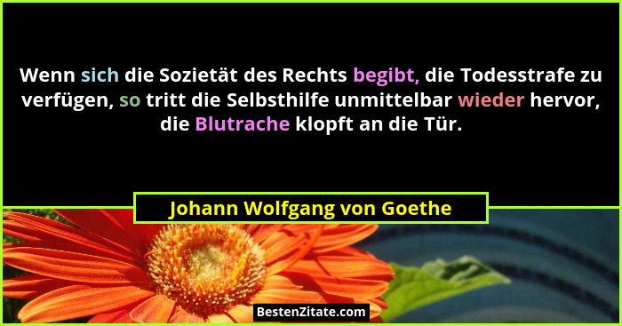 Wenn sich die Sozietät des Rechts begibt, die Todesstrafe zu verfügen, so tritt die Selbsthilfe unmittelbar wieder hervor... - Johann Wolfgang von Goethe