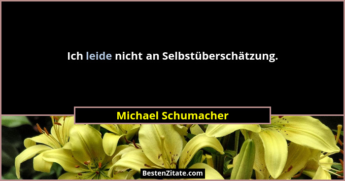Ich leide nicht an Selbstüberschätzung.... - Michael Schumacher