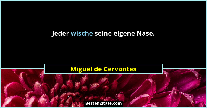 Jeder wische seine eigene Nase.... - Miguel de Cervantes