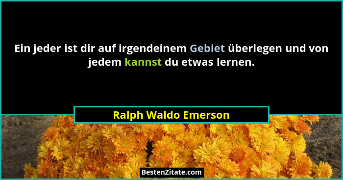 Ein jeder ist dir auf irgendeinem Gebiet überlegen und von jedem kannst du etwas lernen.... - Ralph Waldo Emerson