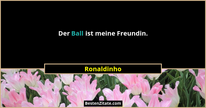 Der Ball ist meine Freundin.... - Ronaldinho