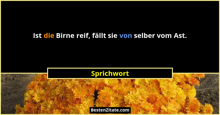 Ist die Birne reif, fällt sie von selber vom Ast.... - Sprichwort