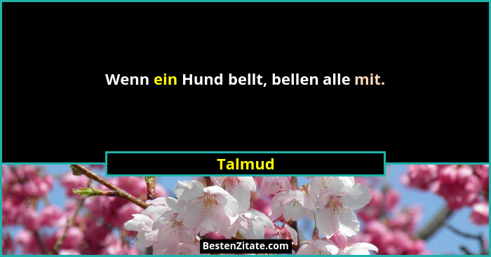 Wenn ein Hund bellt, bellen alle mit.... - Talmud