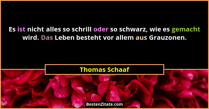 Es ist nicht alles so schrill oder so schwarz, wie es gemacht wird. Das Leben besteht vor allem aus Grauzonen.... - Thomas Schaaf
