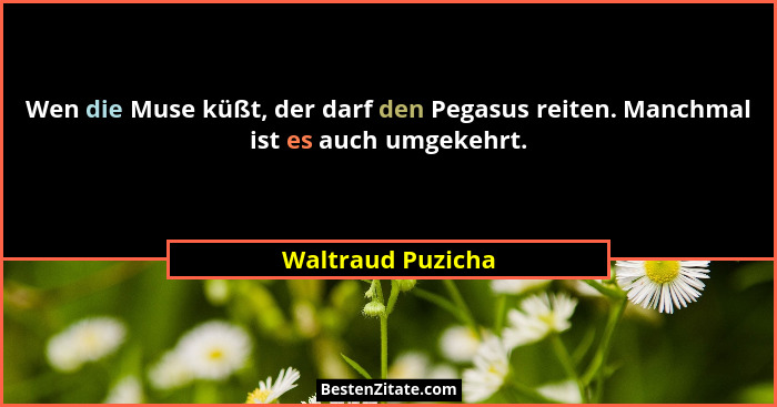 Wen die Muse küßt, der darf den Pegasus reiten. Manchmal ist es auch umgekehrt.... - Waltraud Puzicha