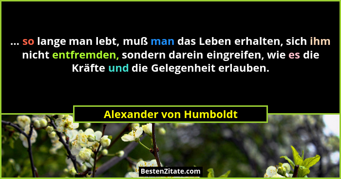 ... so lange man lebt, muß man das Leben erhalten, sich ihm nicht entfremden, sondern darein eingreifen, wie es die Kräfte un... - Alexander von Humboldt