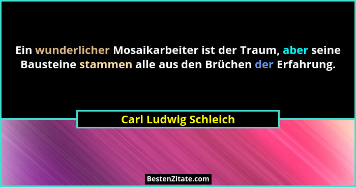 Ein wunderlicher Mosaikarbeiter ist der Traum, aber seine Bausteine stammen alle aus den Brüchen der Erfahrung.... - Carl Ludwig Schleich