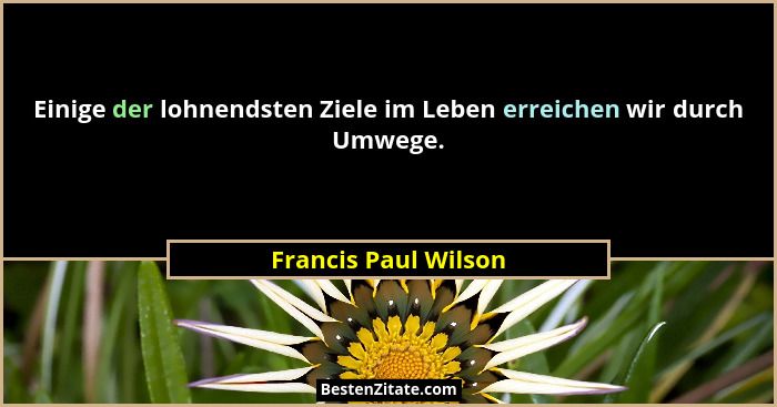 Einige der lohnendsten Ziele im Leben erreichen wir durch Umwege.... - Francis Paul Wilson