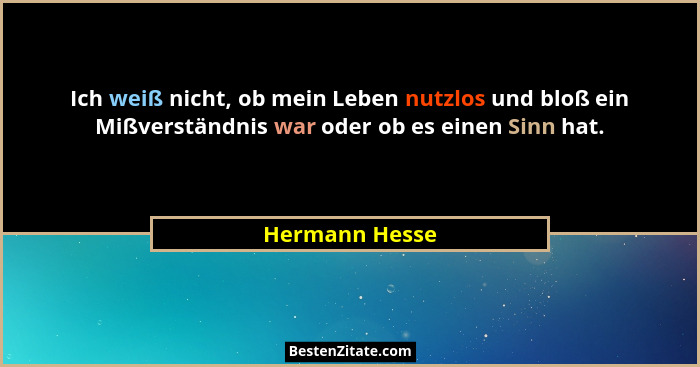 Ich weiß nicht, ob mein Leben nutzlos und bloß ein Mißverständnis war oder ob es einen Sinn hat.... - Hermann Hesse