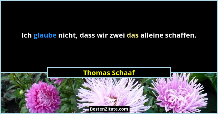 Ich glaube nicht, dass wir zwei das alleine schaffen.... - Thomas Schaaf