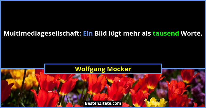 Multimediagesellschaft: Ein Bild lügt mehr als tausend Worte.... - Wolfgang Mocker