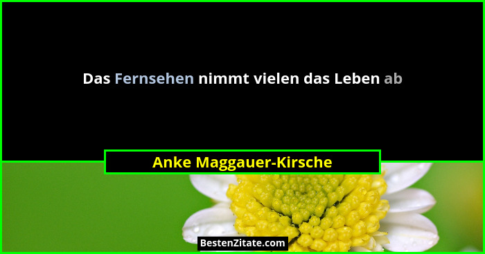 Das Fernsehen nimmt vielen das Leben ab... - Anke Maggauer-Kirsche