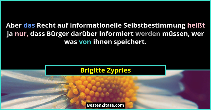 Aber das Recht auf informationelle Selbstbestimmung heißt ja nur, dass Bürger darüber informiert werden müssen, wer was von ihnen s... - Brigitte Zypries