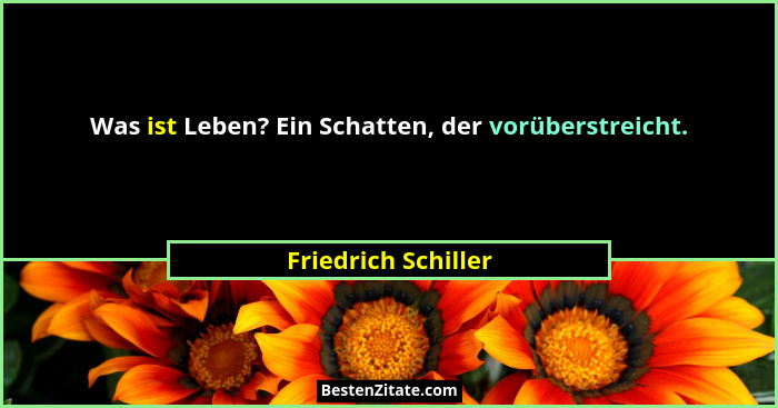 Was ist Leben? Ein Schatten, der vorüberstreicht.... - Friedrich Schiller