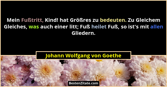 Mein Fußtritt, Kind! hat Größres zu bedeuten. Zu Gleichem Gleiches, was auch einer litt; Fuß heilet Fuß, so ist's mit... - Johann Wolfgang von Goethe
