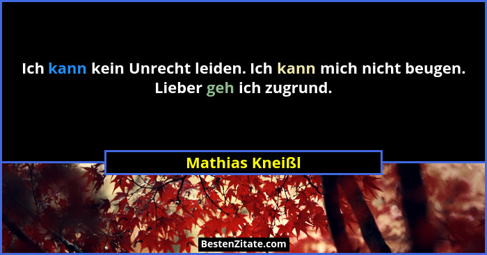 Ich kann kein Unrecht leiden. Ich kann mich nicht beugen. Lieber geh ich zugrund.... - Mathias Kneißl