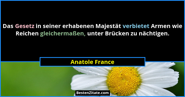 Das Gesetz in seiner erhabenen Majestät verbietet Armen wie Reichen gleichermaßen, unter Brücken zu nächtigen.... - Anatole France